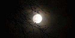 রাতে তাপমাত্রা কমার আভাস
