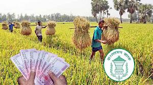পাঁচ মাসে লক্ষ্যমাত্রার ৪৩ শতাংশ কৃষি ঋণ বিতরণ

