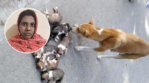 ৮ কুকুর ছানাকে ডুবিয়ে হত্যা করা নারী গ্রেফতার